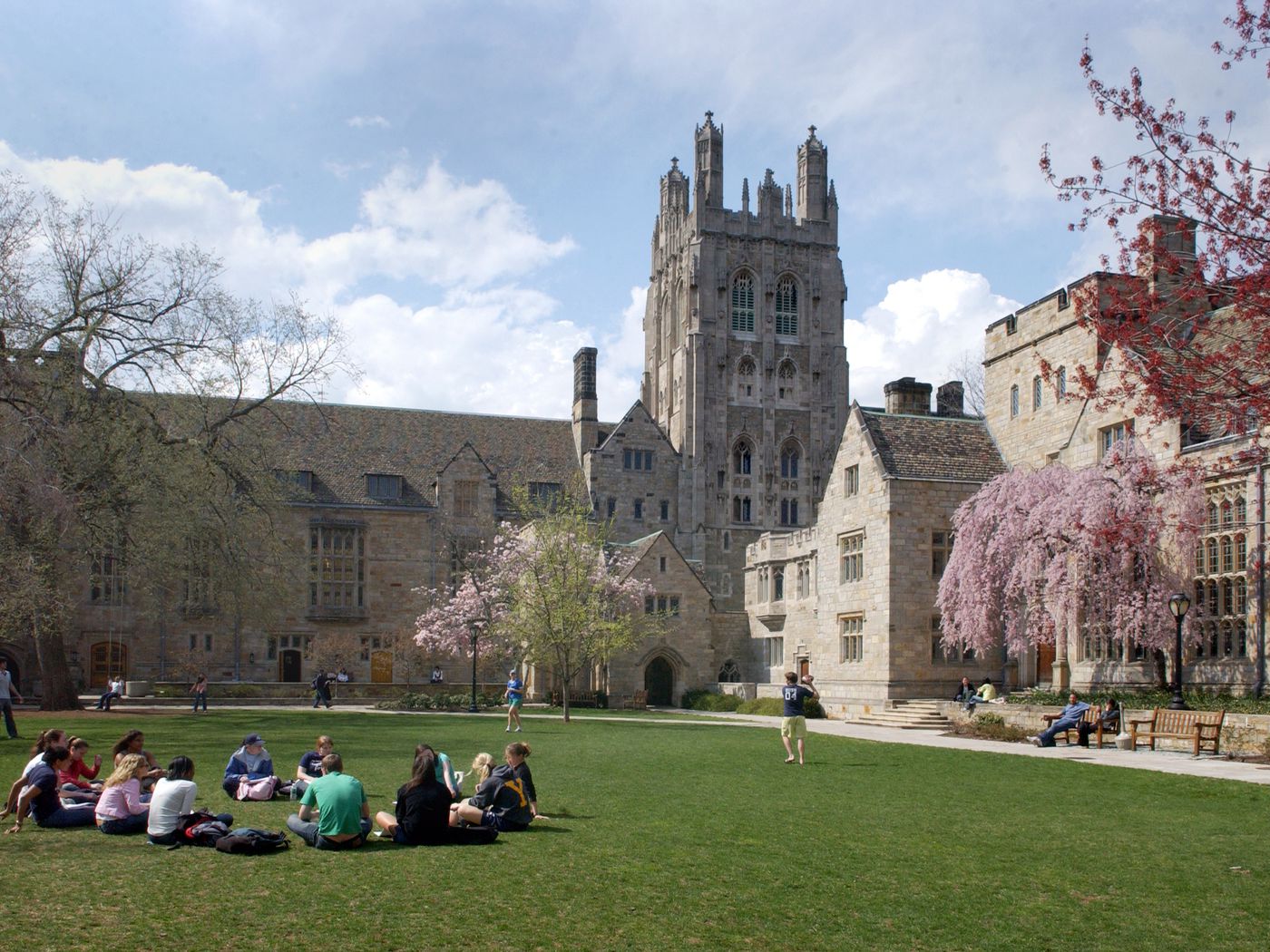 SCHOOLS & UNIVERSITY