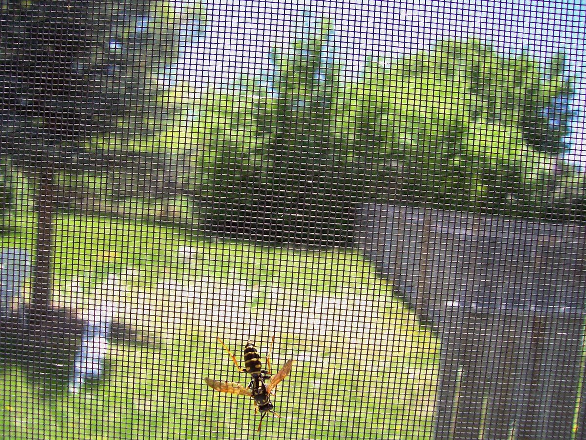 Insect Screens